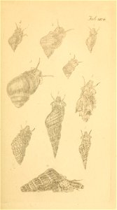 n138_w1150