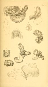 n108_w1150