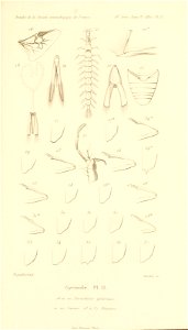 n614_w1150