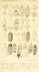 n698_w1150