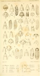 n696_w1150