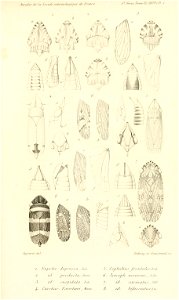 n712_w1150