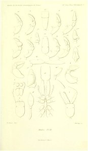 n574_w1150