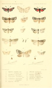 n844_w1150