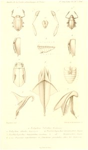 n770_w1150