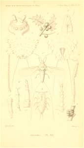 n972_w1150