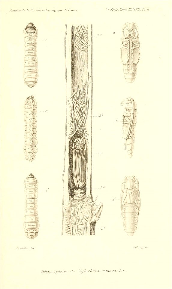 n874_w1150