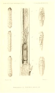n874_w1150