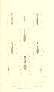 n892_w1150