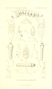n776_w1150