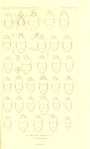 n806_w1150