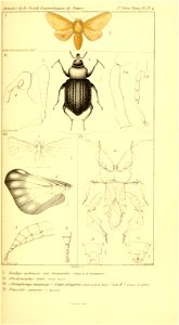 n708_w1150