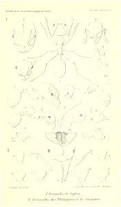 n944_w1150