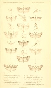 n980_w1150