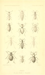 n696_w1150