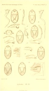 n846_w1150