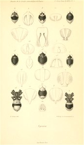 n1002_w1150