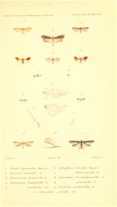 n970_w1150