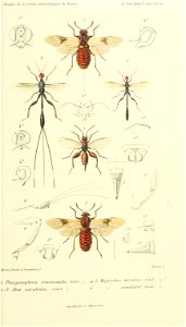 n822_w1150
