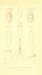 n968_w1150