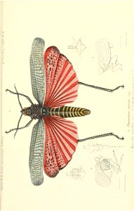 n796_w1150