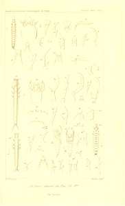 n832_w1150