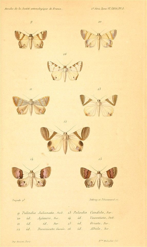 n998_w1150