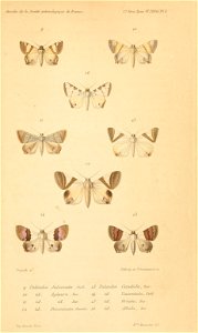 n998_w1150