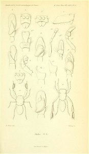 n596_w1150