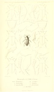 n836_w1150