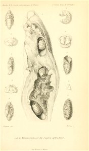 n866_w1150