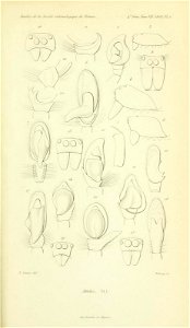 n594_w1150