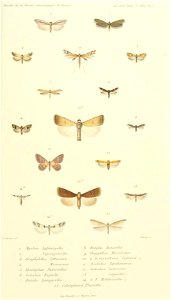 n816_w1150