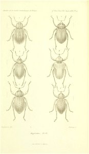n592_w1150
