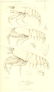 n882_w1150