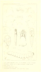 n608_w1150