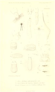 n862_w1150