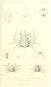 n812_w1150