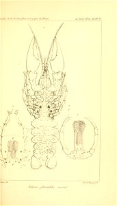 n514_w1150