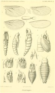 n698_w1150