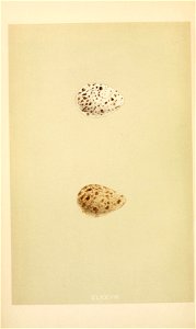 n103_w1150