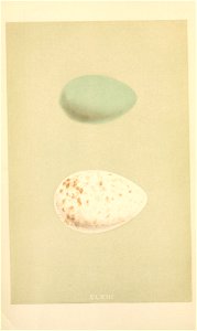 n15_w1150