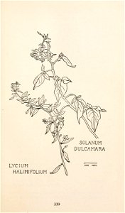 n402_w1150