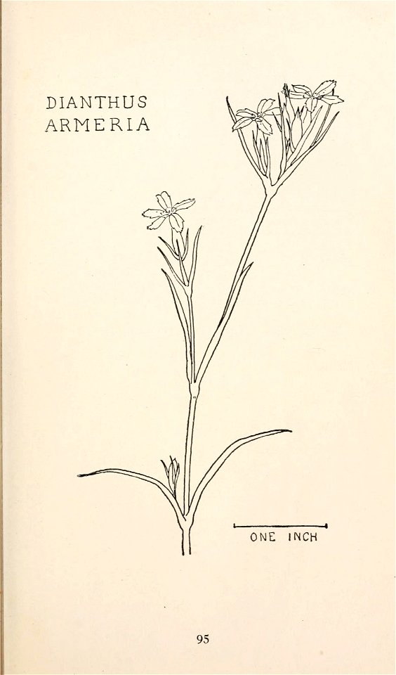 n154_w1150