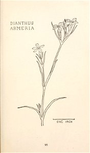 n154_w1150