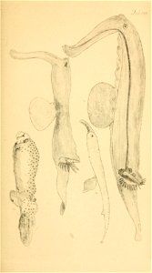 n206_w1150