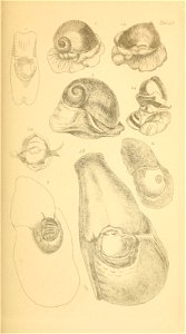 n116_w1150