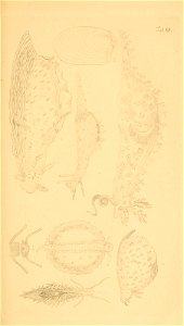 n148_w1150