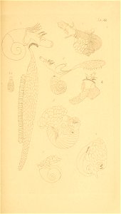 n118_w1150