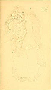 n88_w1150